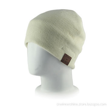 Winter beanie with fashion bluetooth headphone